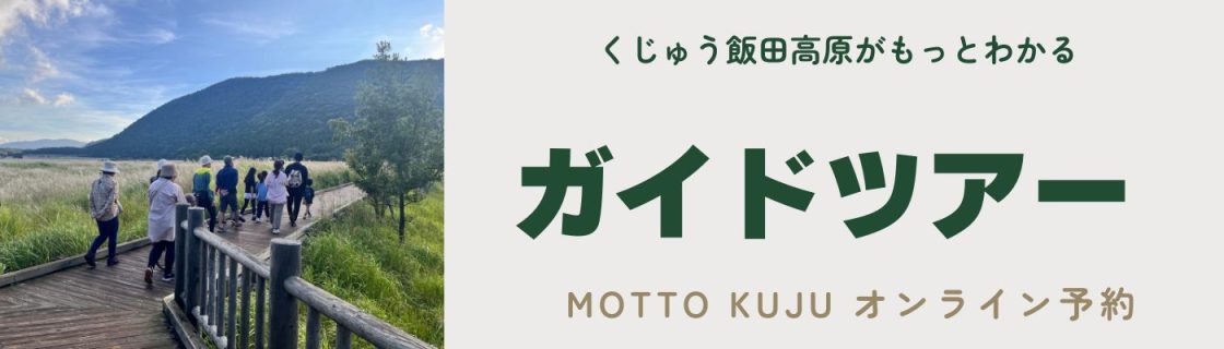 モニタ　ガイドツアー